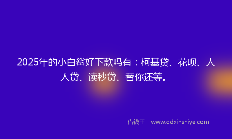 2025年的小白鲨好下款吗有：柯基贷、花呗、人人贷、读秒贷、替你还等。