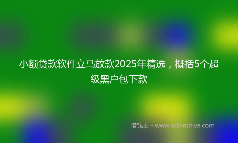小额贷款软件立马放款2025年精选，概括5个超级黑户包下款