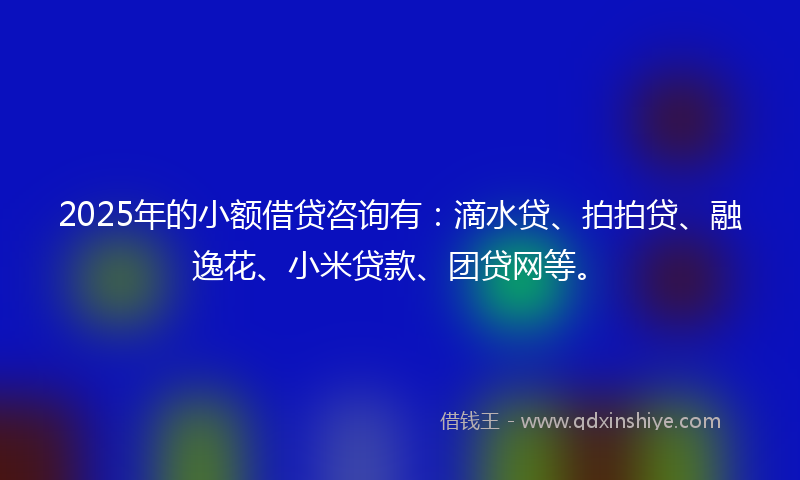 2025年的小额借贷咨询有：滴水贷、拍拍贷、融逸花、小米贷款、团贷网等。