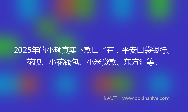 2025年的小额真实下款口子有：平安口袋银行、花呗、小花钱包、小米贷款、东方汇等。