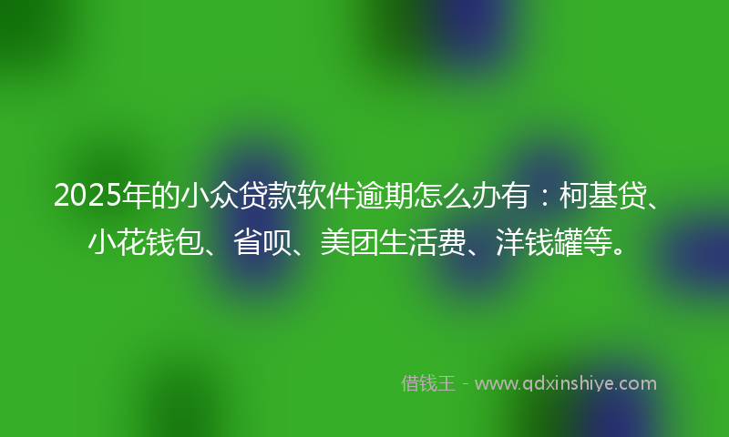 2025年的小众贷款软件逾期怎么办有：柯基贷、小花钱包、省呗、美团生活费、洋钱罐等。