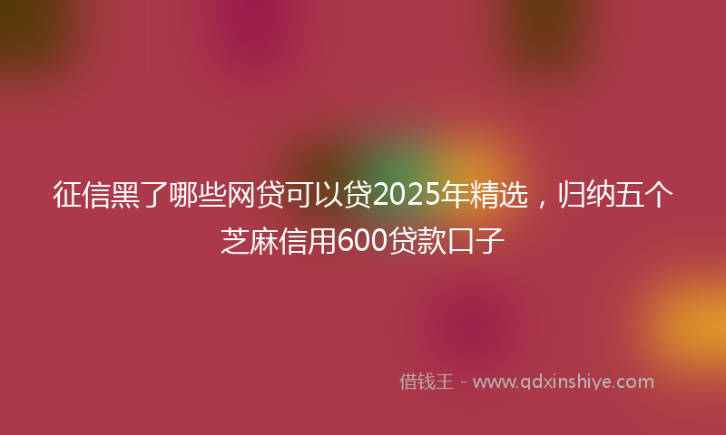 征信黑了哪些网贷可以贷2025年精选，归纳五个芝麻信用600贷款口子