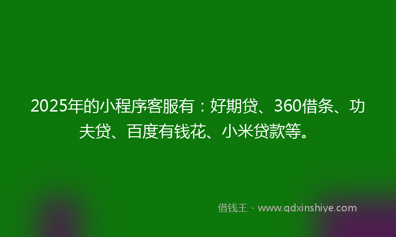 2025年的小程序客服有：好期贷、360借条、功夫贷、百度有钱花、小米贷款等。