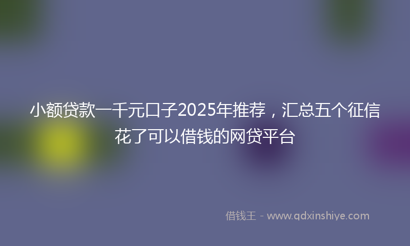 小额贷款一千元口子2025年推荐，汇总五个征信花了可以借钱的网贷平台