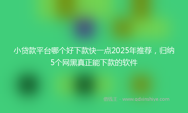 小贷款平台哪个好下款快一点2025年推荐，归纳5个网黑真正能下款的软件