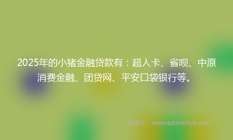 2025年的小猪金融贷款有：超人卡、省呗、中原消费金融、团贷网、平安口袋银行等。
