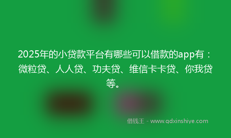 2025年的小贷款平台有哪些可以借款的app有：微粒贷、人人贷、功夫贷、维信卡卡贷、你我贷等。