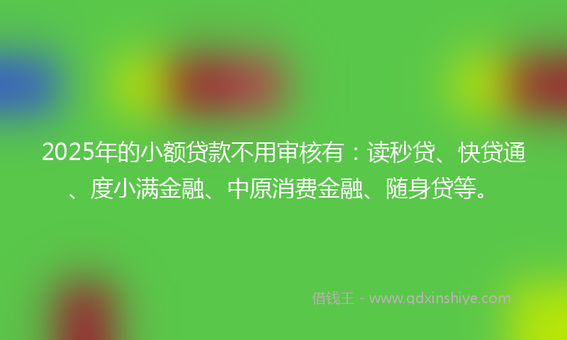 2025年的小额贷款不用审核有：读秒贷、快贷通、度小满金融、中原消费金融、随身贷等。