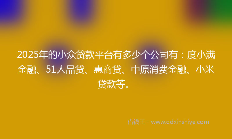 2025年的小众贷款平台有多少个公司有：度小满金融、51人品贷、惠商贷、中原消费金融、小米贷款等。