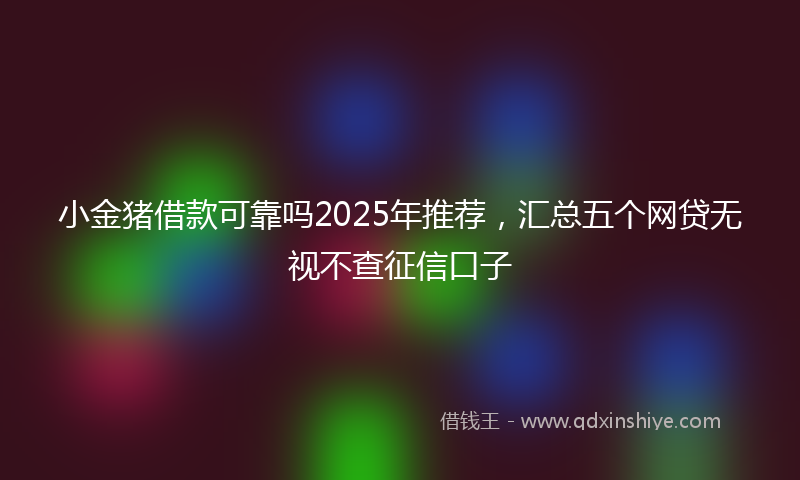 小金猪借款可靠吗2025年推荐，汇总五个网贷无视不查征信口子