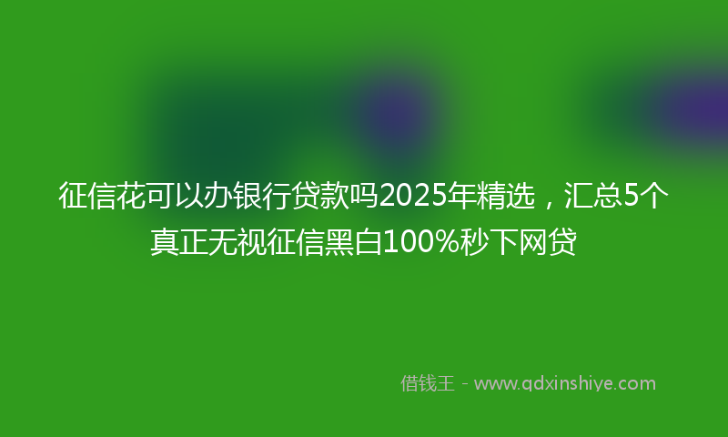 征信花可以办银行贷款吗2025年精选，汇总5个真正无视征信黑白100%秒下网贷