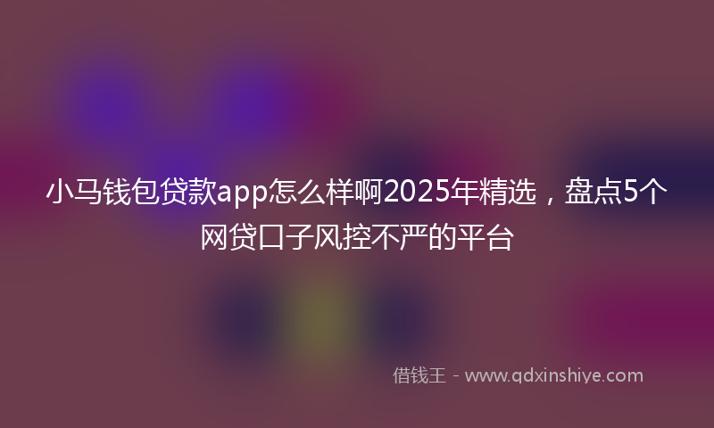 小马钱包贷款app怎么样啊2025年精选，盘点5个网贷口子风控不严的平台