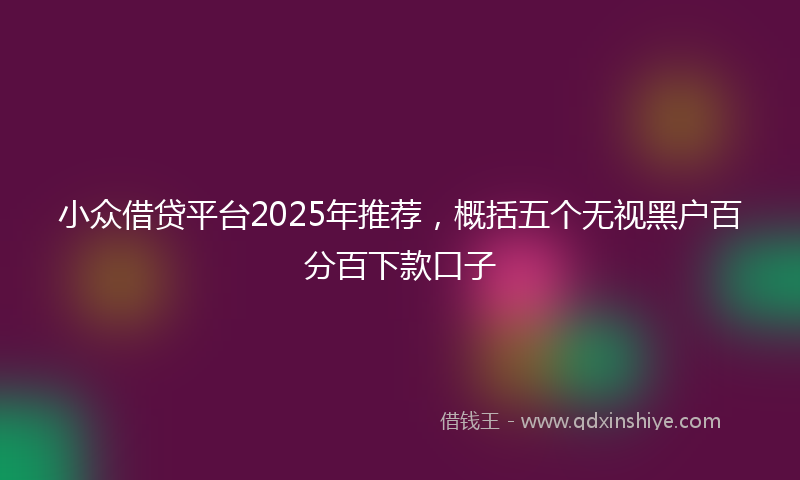 小众借贷平台2025年推荐，概括五个无视黑户百分百下款口子