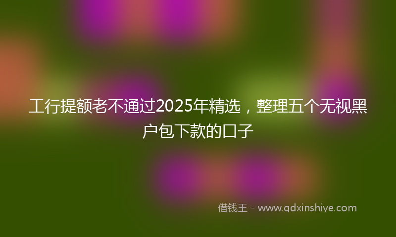 工行提额老不通过2025年精选，整理五个无视黑户包下款的口子