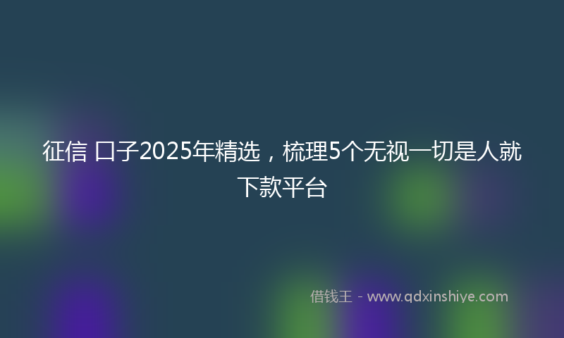 征信 口子2025年精选，梳理5个无视一切是人就下款平台