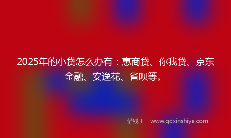 2025年的小贷怎么办有：惠商贷、你我贷、京东金融、安逸花、省呗等。