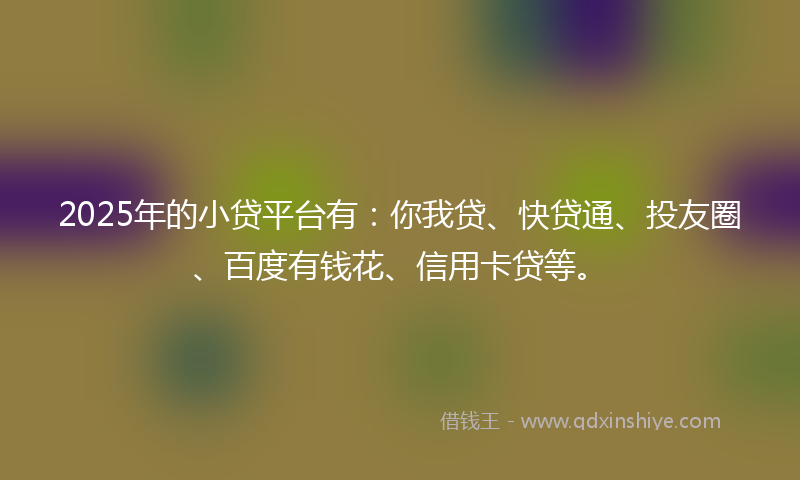 2025年的小贷平台有：你我贷、快贷通、投友圈、百度有钱花、信用卡贷等。