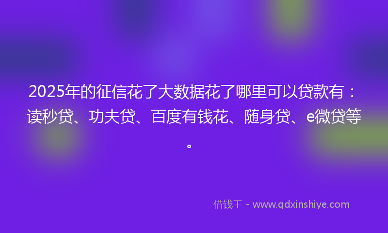 2025年的征信花了大数据花了哪里可以贷款有：读秒贷、功夫贷、百度有钱花、随身贷、e微贷等。