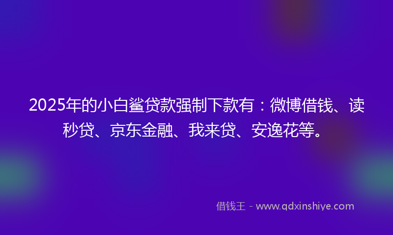 2025年的小白鲨贷款强制下款有：微博借钱、读秒贷、京东金融、我来贷、安逸花等。