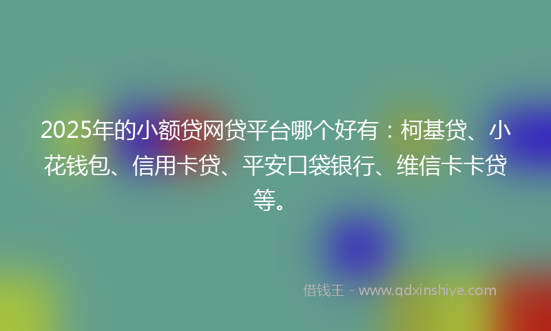 2025年的小额贷网贷平台哪个好有：柯基贷、小花钱包、信用卡贷、平安口袋银行、维信卡卡贷等。