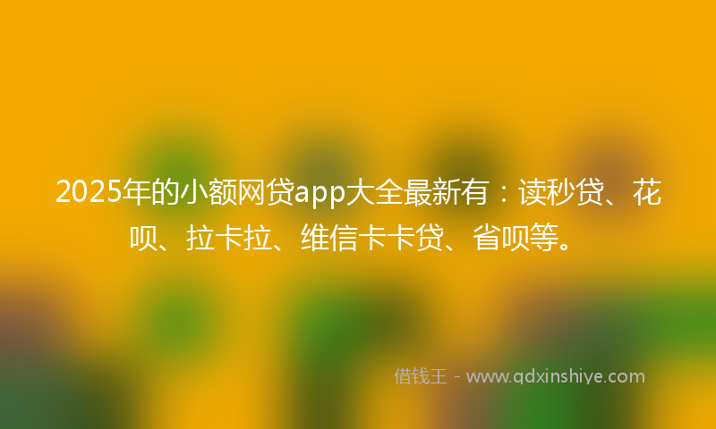 2025年的小额网贷app大全最新有：读秒贷、花呗、拉卡拉、维信卡卡贷、省呗等。