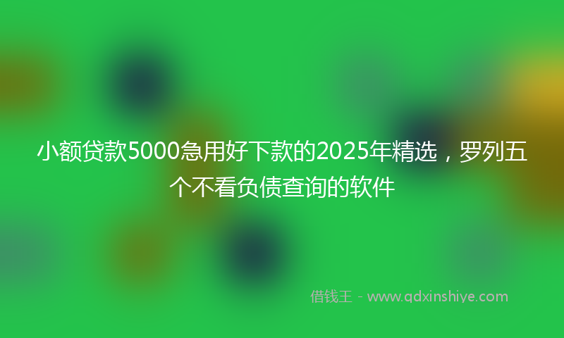小额贷款5000急用好下款的2025年精选，罗列五个不看负债查询的软件