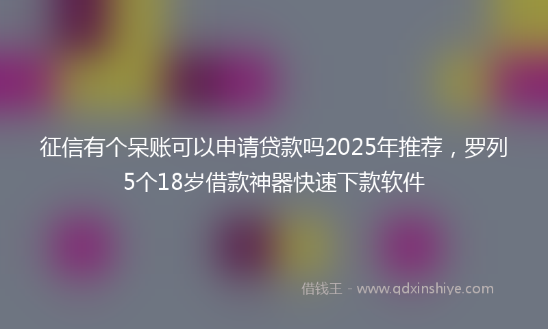征信有个呆账可以申请贷款吗2025年推荐，罗列5个18岁借款神器快速下款软件