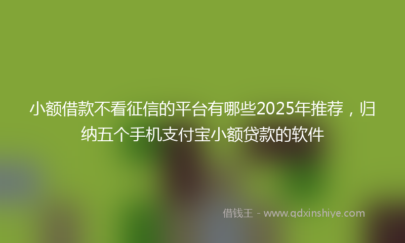 小额借款不看征信的平台有哪些2025年推荐，归纳五个手机支付宝小额贷款的软件