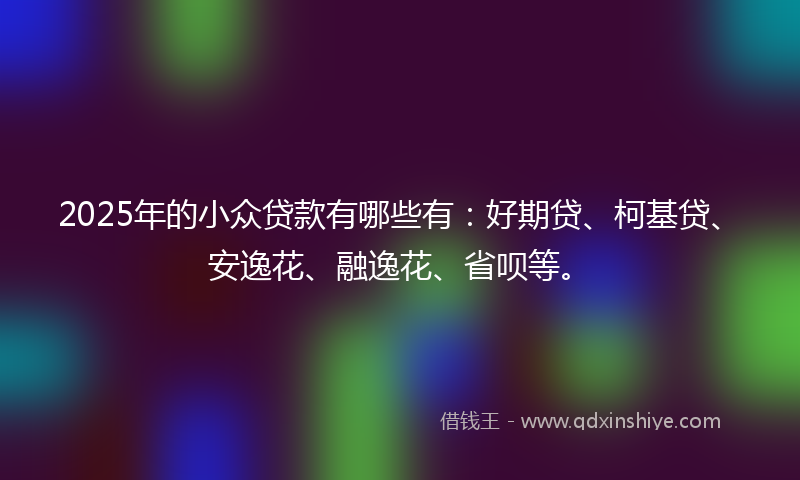 2025年的小众贷款有哪些有：好期贷、柯基贷、安逸花、融逸花、省呗等。