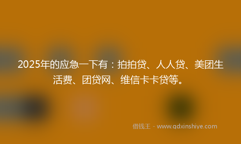 2025年的应急一下有：拍拍贷、人人贷、美团生活费、团贷网、维信卡卡贷等。