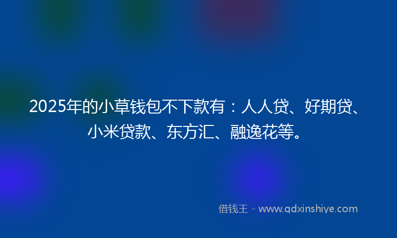 2025年的小草钱包不下款有：人人贷、好期贷、小米贷款、东方汇、融逸花等。