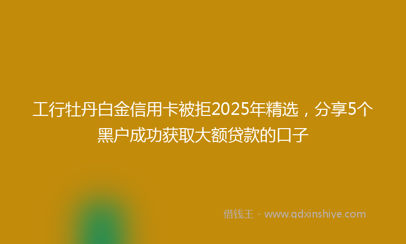 工行牡丹白金信用卡被拒2025年精选，分享5个黑户成功获取大额贷款的口子