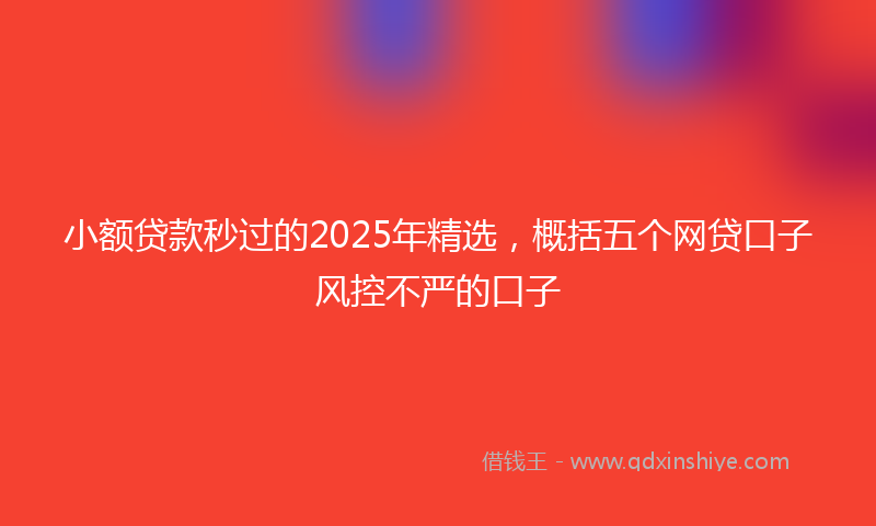 小额贷款秒过的2025年精选，概括五个网贷口子风控不严的口子