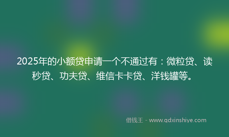 2025年的小额贷申请一个不通过有：微粒贷、读秒贷、功夫贷、维信卡卡贷、洋钱罐等。