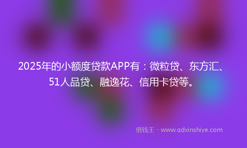 2025年的小额度贷款APP有：微粒贷、东方汇、51人品贷、融逸花、信用卡贷等。