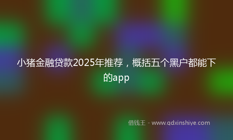 小猪金融贷款2025年推荐，概括五个黑户都能下的app