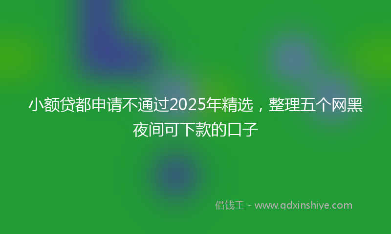 小额贷都申请不通过2025年精选，整理五个网黑夜间可下款的口子