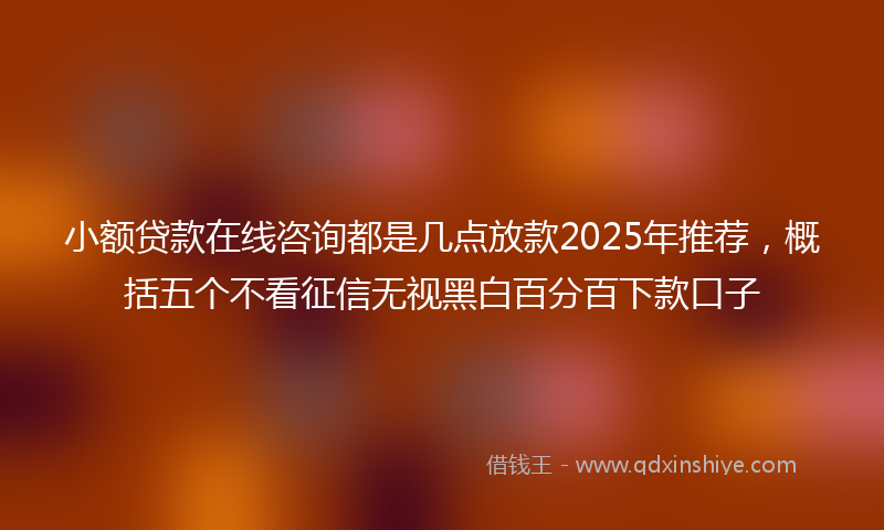 小额贷款在线咨询都是几点放款2025年推荐，概括五个不看征信无视黑白百分百下款口子