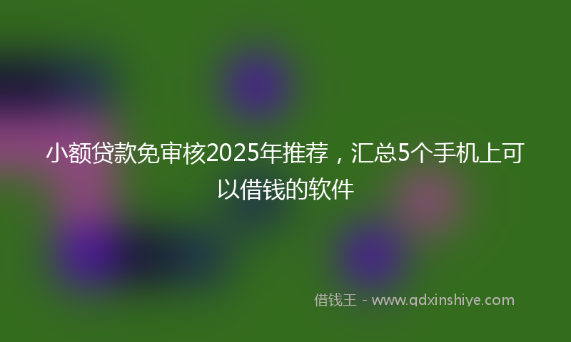 小额贷款免审核2025年推荐，汇总5个手机上可以借钱的软件