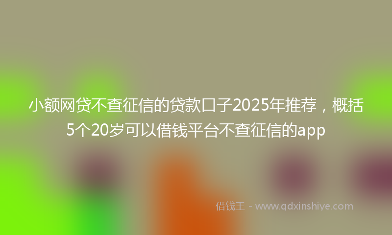 小额网贷不查征信的贷款口子2025年推荐，概括5个20岁可以借钱平台不查征信的app