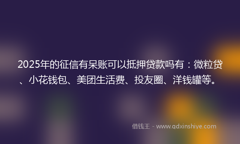 2025年的征信有呆账可以抵押贷款吗有：微粒贷、小花钱包、美团生活费、投友圈、洋钱罐等。