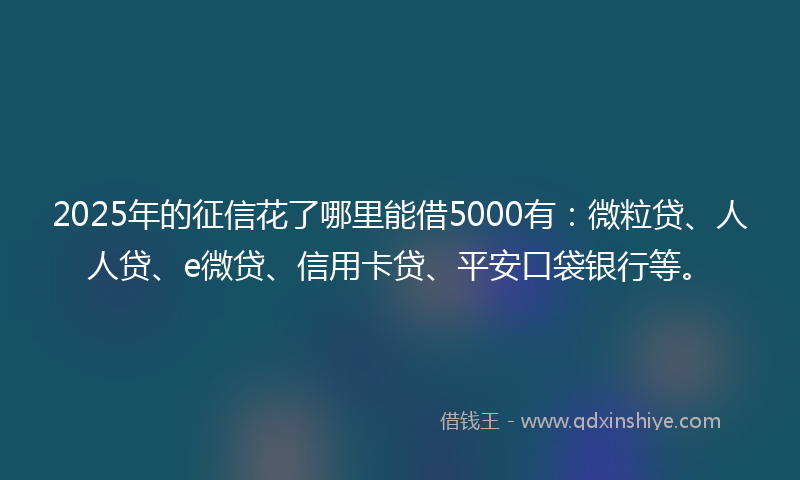 2025年的征信花了哪里能借5000有：微粒贷、人人贷、e微贷、信用卡贷、平安口袋银行等。