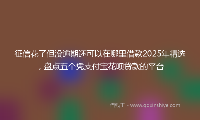 征信花了但没逾期还可以在哪里借款2025年精选，盘点五个凭支付宝花呗贷款的平台