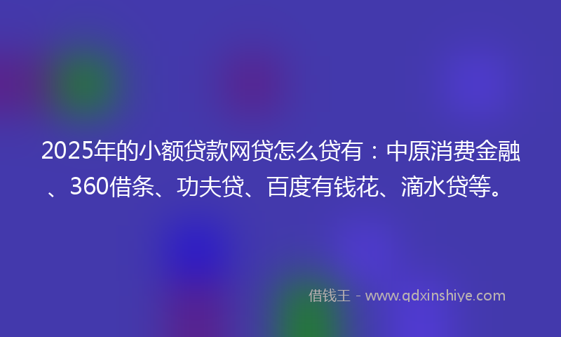 2025年的小额贷款网贷怎么贷有：中原消费金融、360借条、功夫贷、百度有钱花、滴水贷等。