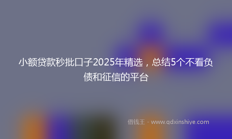 小额贷款秒批口子2025年精选，总结5个不看负债和征信的平台