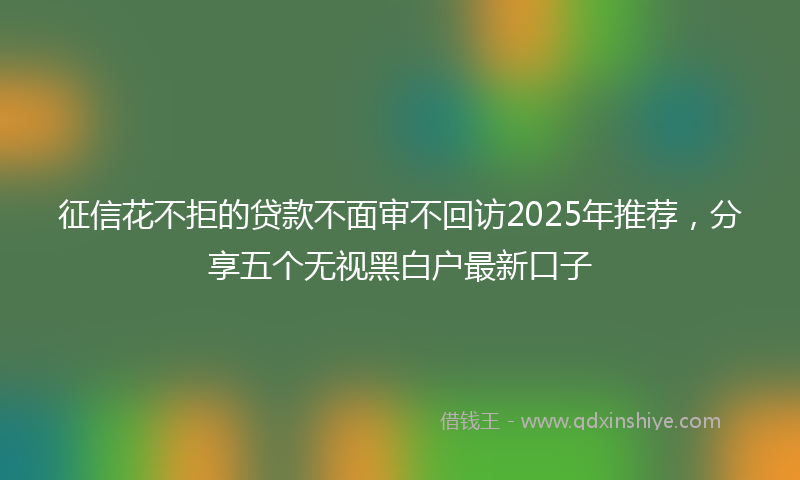 征信花不拒的贷款不面审不回访2025年推荐，分享五个无视黑白户最新口子