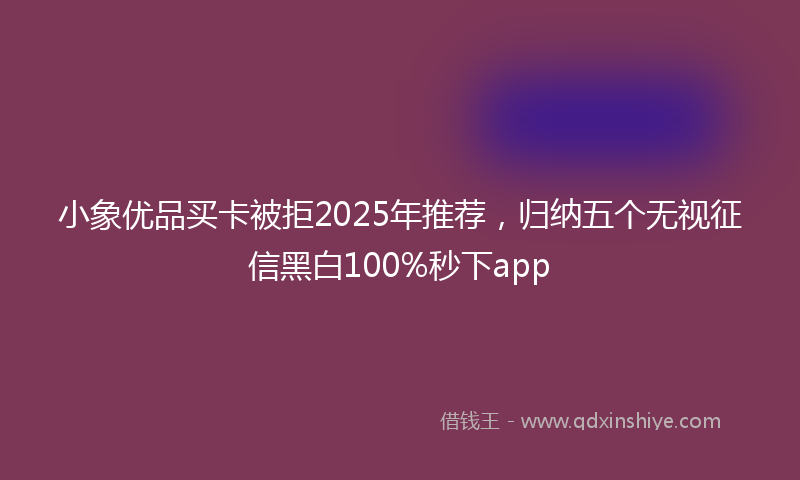 小象优品买卡被拒2025年推荐，归纳五个无视征信黑白100%秒下app