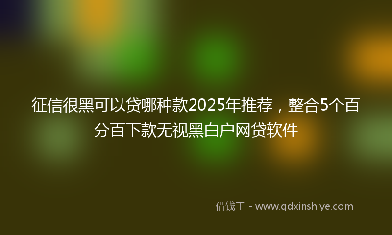 征信很黑可以贷哪种款2025年推荐，整合5个百分百下款无视黑白户网贷软件