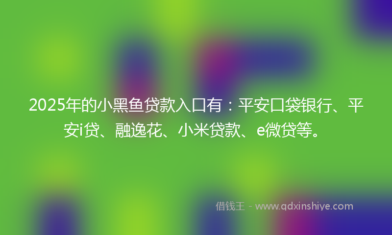 2025年的小黑鱼贷款入口有：平安口袋银行、平安i贷、融逸花、小米贷款、e微贷等。