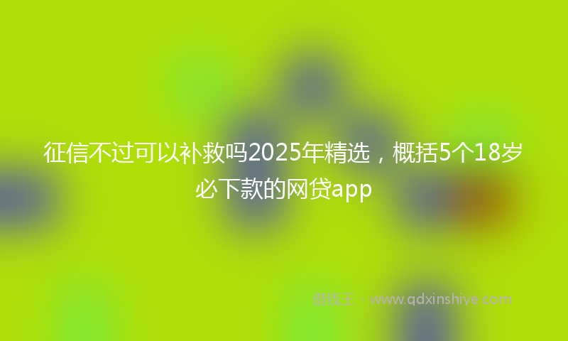 征信不过可以补救吗2025年精选，概括5个18岁必下款的网贷app